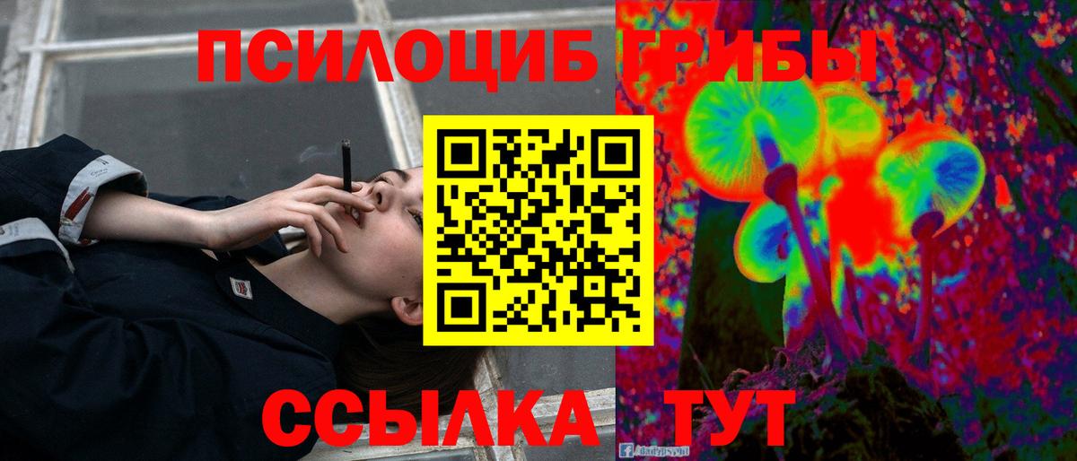 Галлюциногенные грибы GOLDEN TEACHER  Вход с VPN  Нижнекамск 