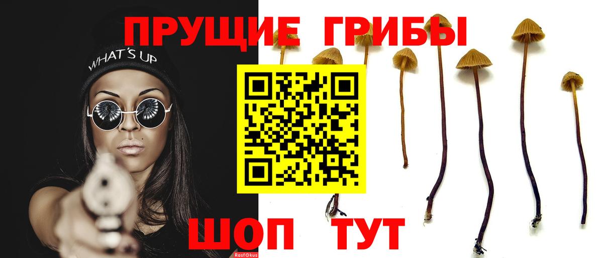 Псилоцибиновые грибы мицелий Нижнекамск